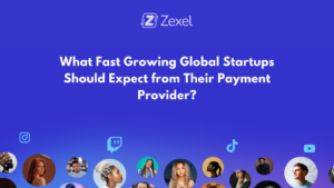 Read more about the article What Fast Growing Global Startups Should Expect from Their Payment Provider?