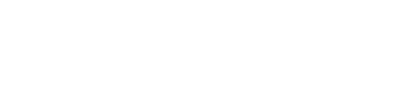 Imagotipo Zexel Services horizontal en color blanco